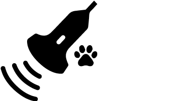 Ecografías veterinarias